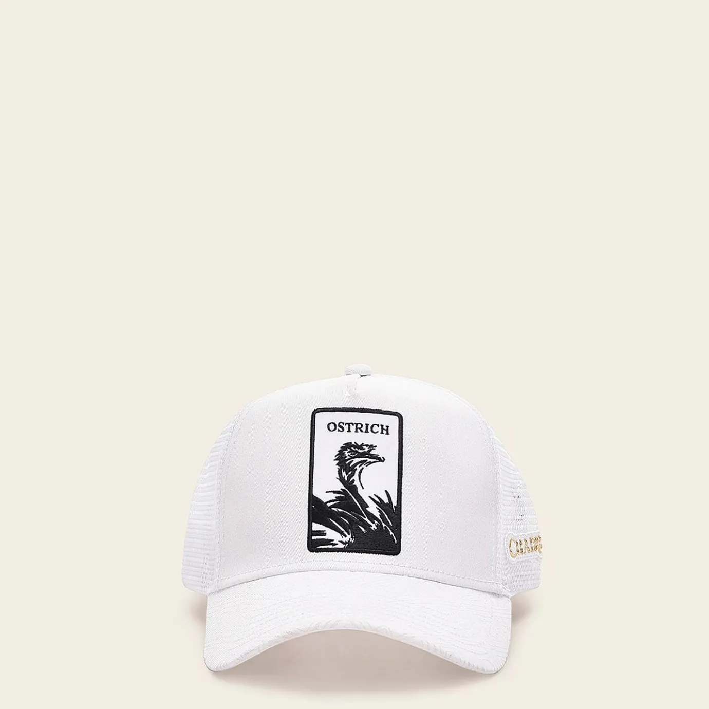 Women Cuadra Hats- White Cap With Embroidery Ostrich Patch