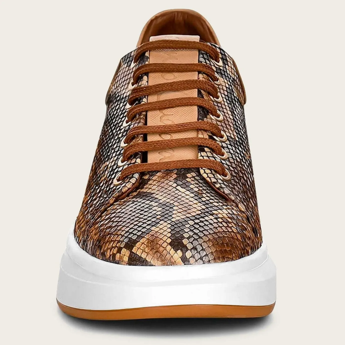Women Cuadra Sneakers-Genuine Python Brown Leather Sneakers