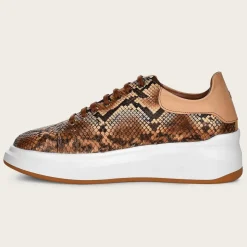 Women Cuadra Sneakers-Genuine Python Brown Leather Sneakers