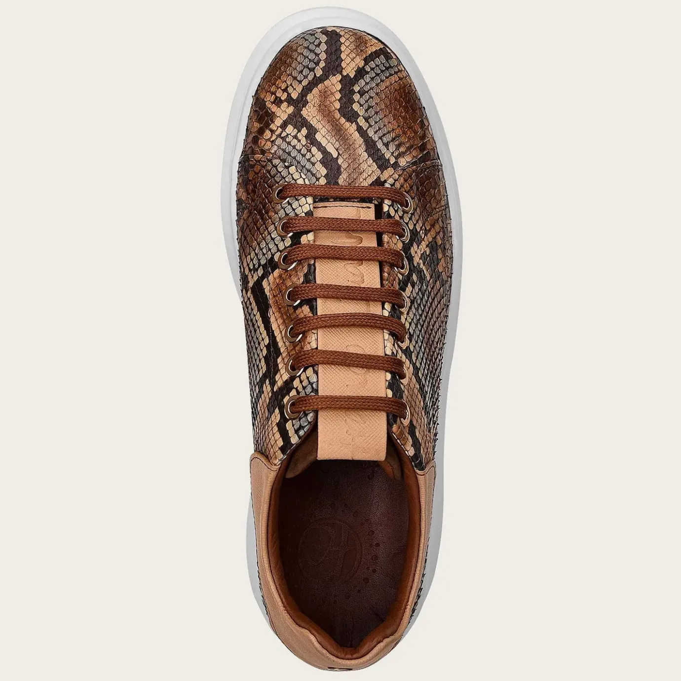 Women Cuadra Sneakers-Genuine Python Brown Leather Sneakers